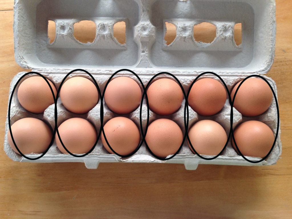 carton of eggs with doubles circled